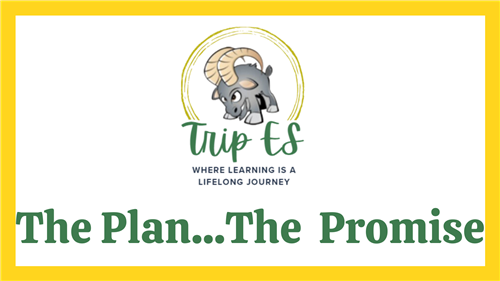The Plan...The Promise